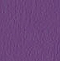 secret-7s7-purple.jpg